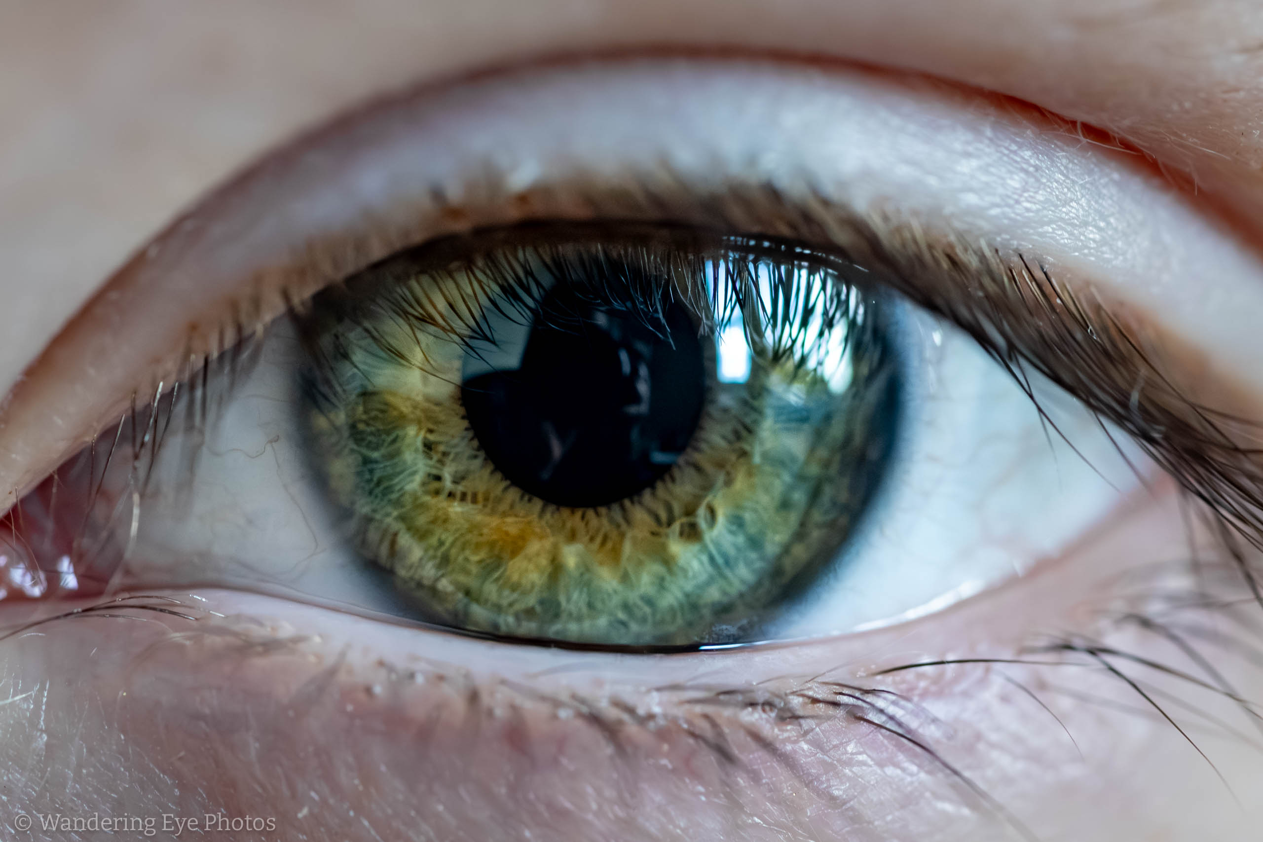 10.28 11.04.56   DSC09114 Enhanced NR